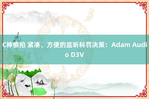 C神偷拍 紧凑、方便的监听科罚决策：Adam Audio D3V